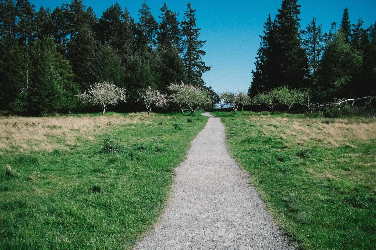 Shared room in Plano apartment near Legacy West
